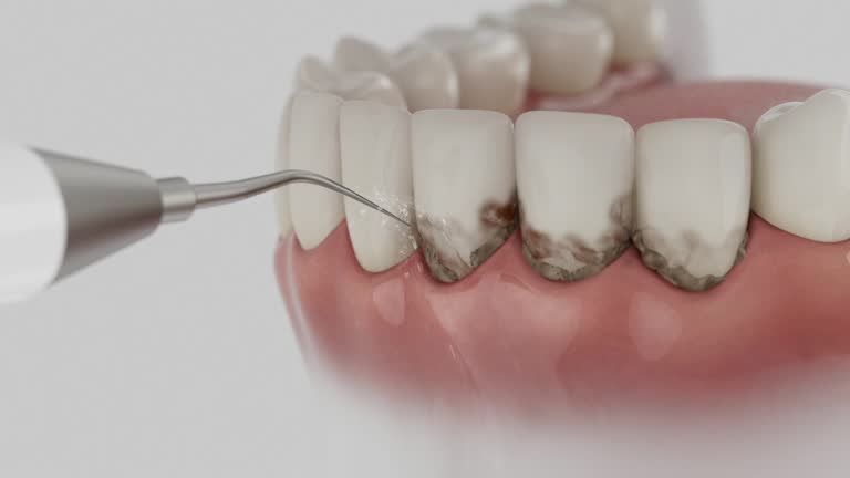 Reliable Dental contractor in Sparta, GA by Dentist Open Now